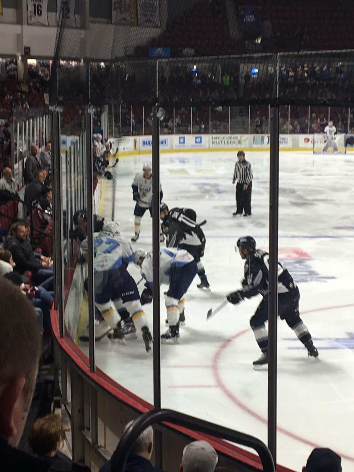 Hockey Night In Boise, Idaho The Steelheads VS The Walleyes (Toledo