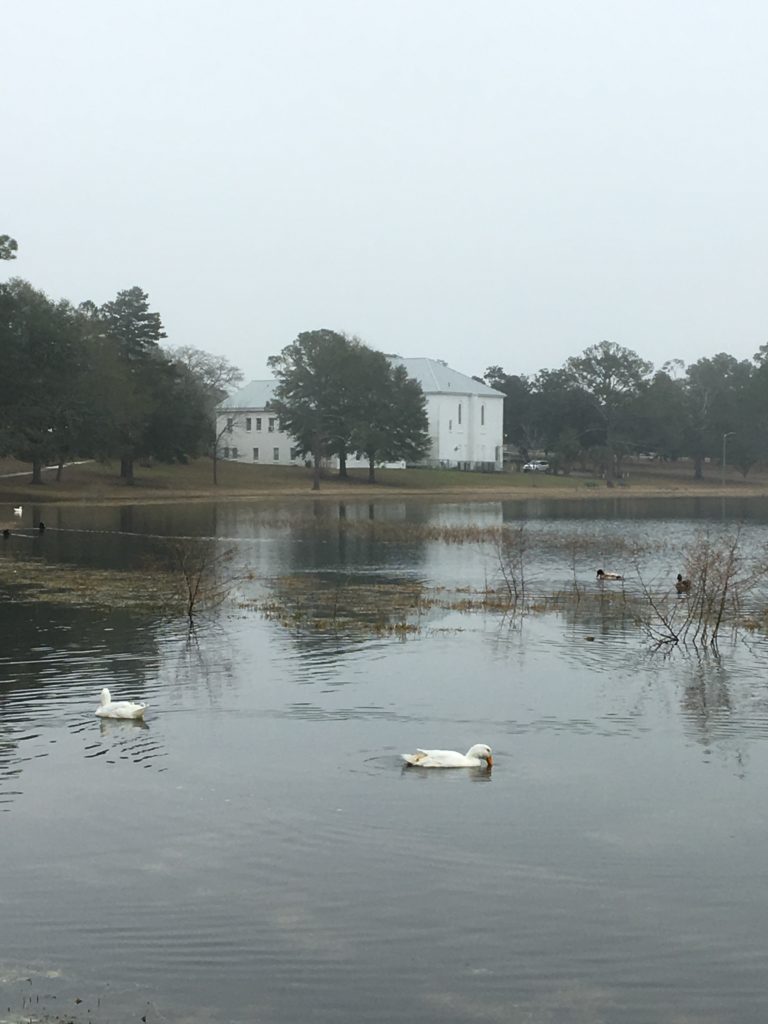 Historic DeFuniak Springs, Florida Scout N' About