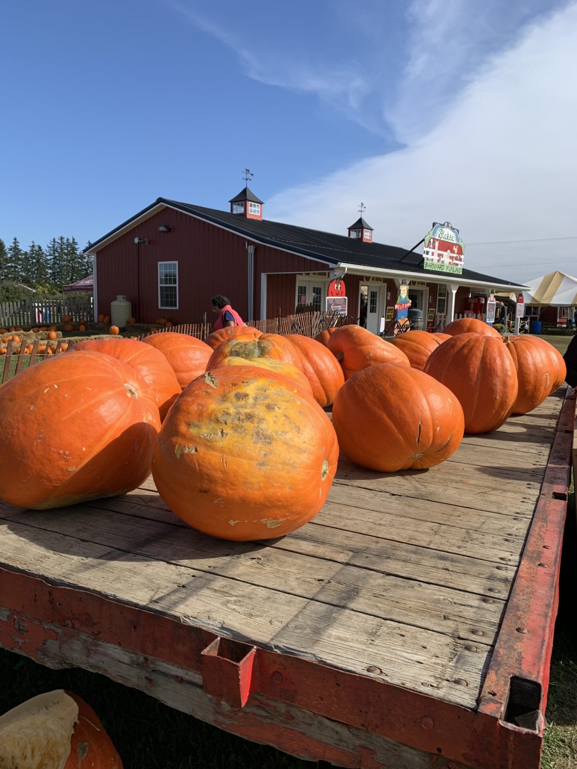 Apple Season At Blake’s Orchard In Armada, Michigan Scout N' About