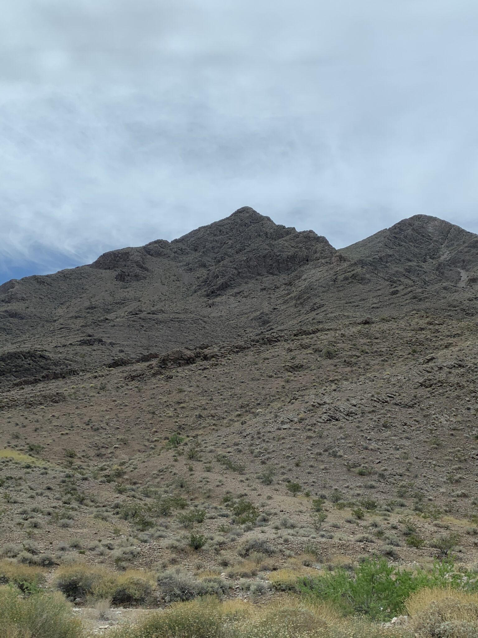 Hiking Frenchman Mountain Las Vegas, NV Scout N' About