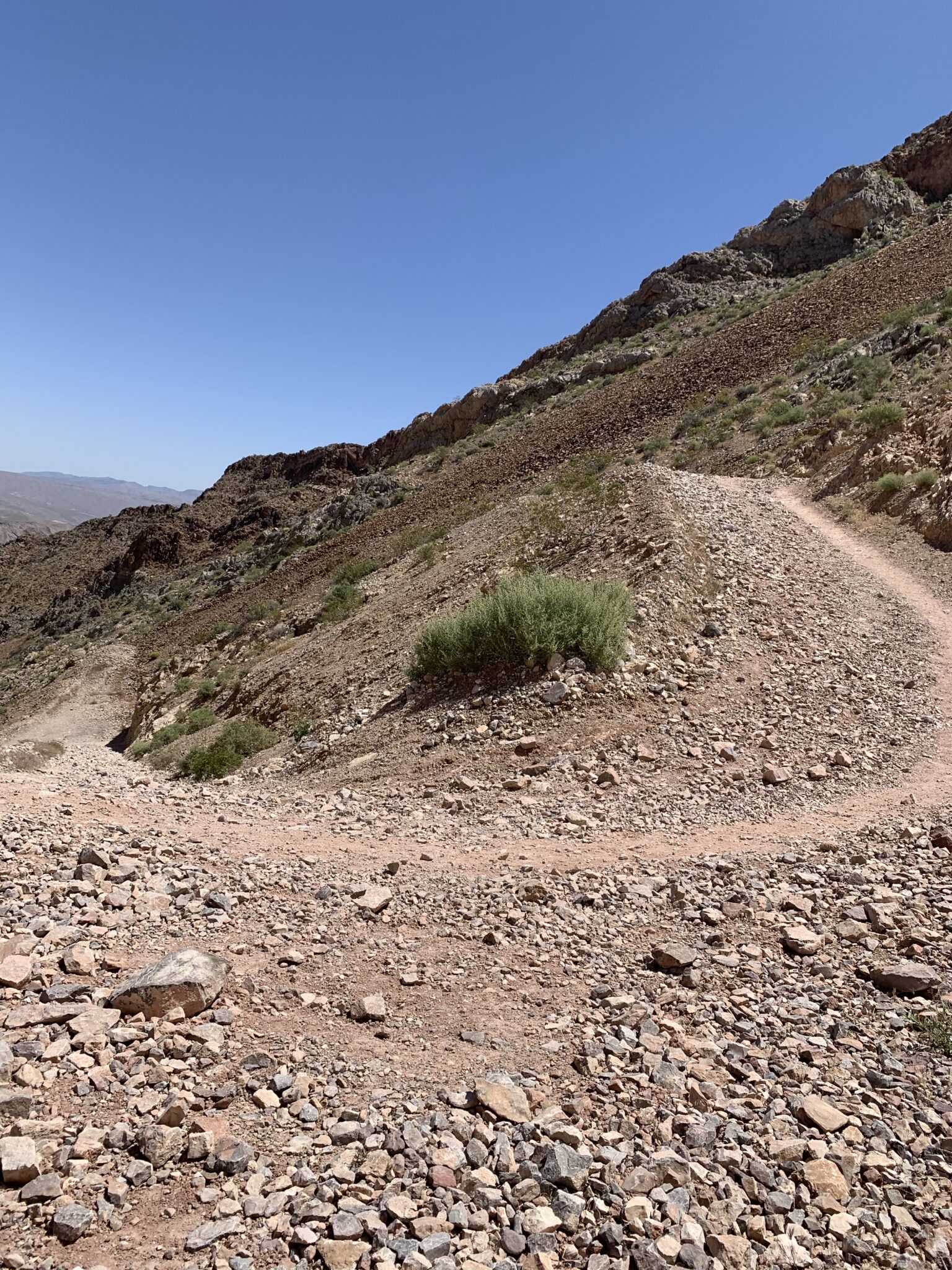 Hiking Frenchman Mountain Las Vegas, NV Scout N' About