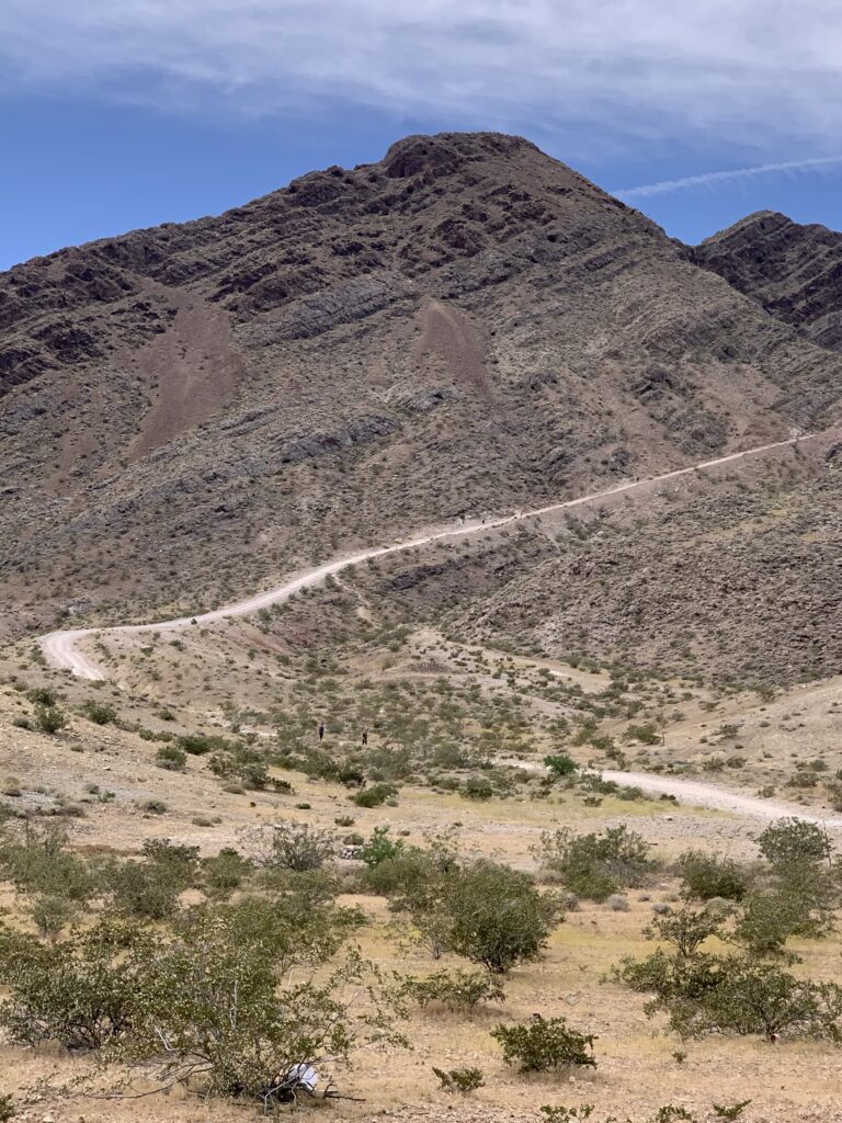 Hiking Frenchman Mountain Las Vegas, NV Scout N' About