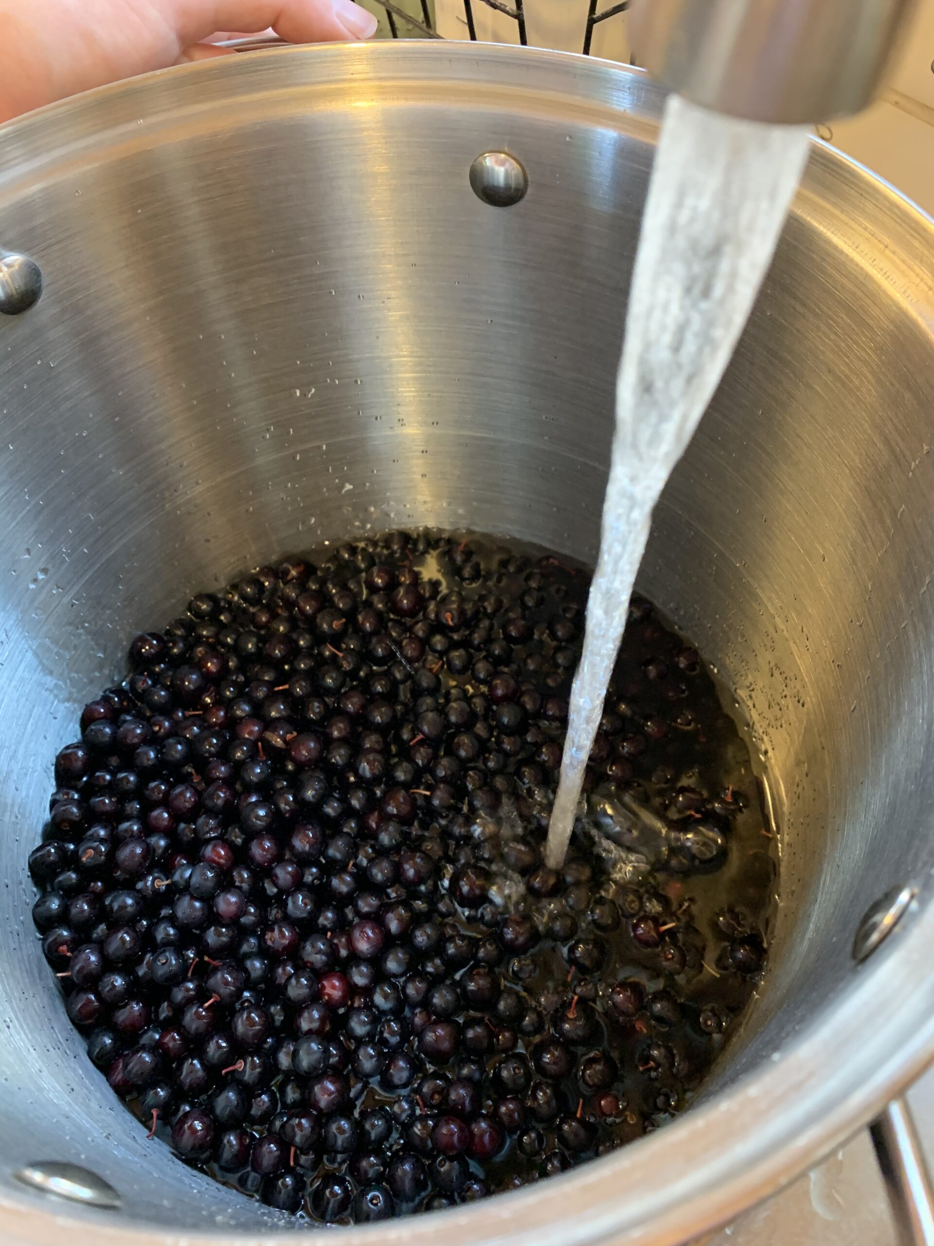 Homemade Choke Cherry Jam Scout N' About